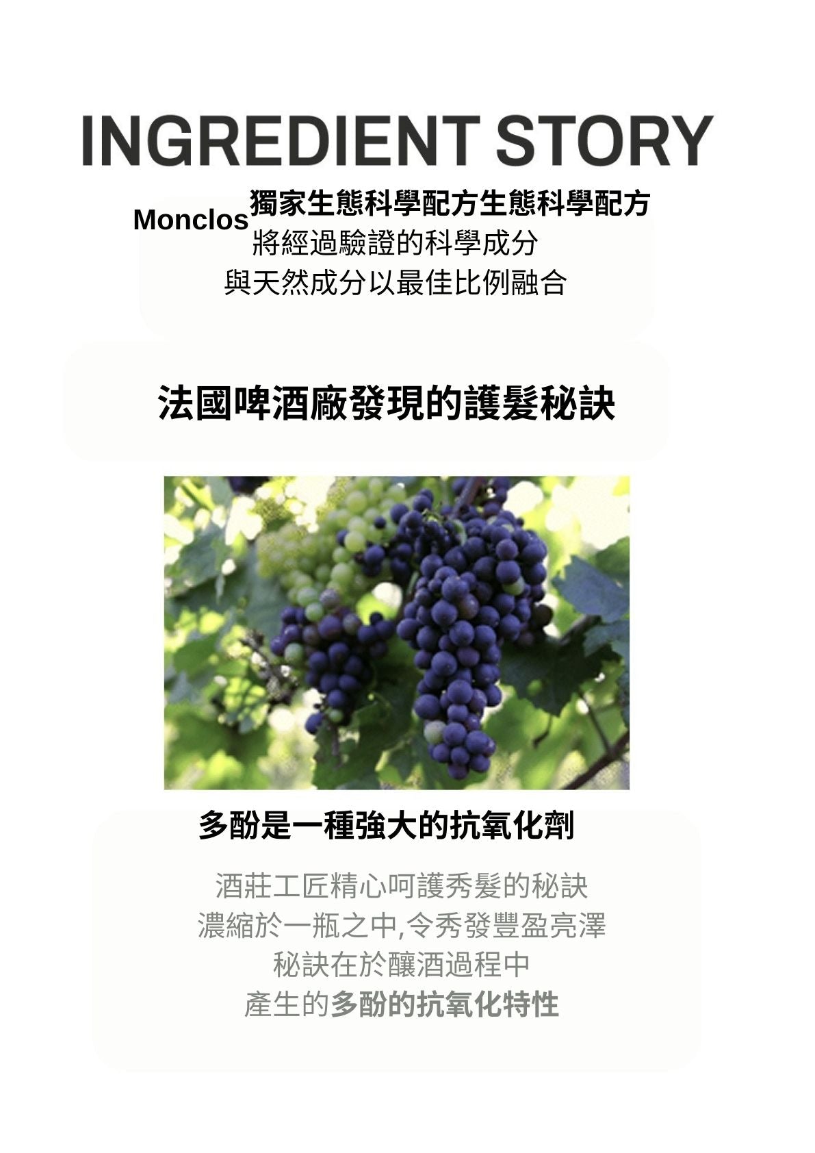 MONCLOS頭皮護理洗髮水500ml (香港總代理)