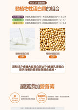 Renewphy -韓國人氣爆紅-高蛋白瘦身代餐 [抹茶口味] 60g x 1包EXP:2026年12月19日