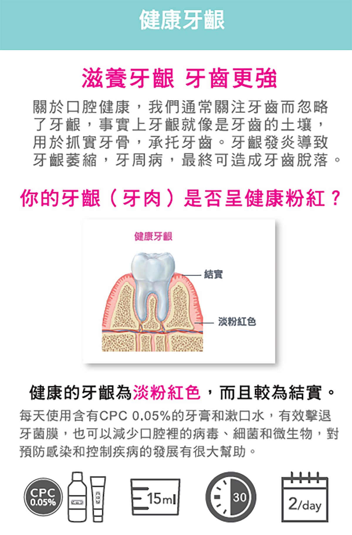 VITIS® CPC 牙膏(牙齦修護) 100毫升- 有效預防牙肉萎縮和牙周病 [40915]